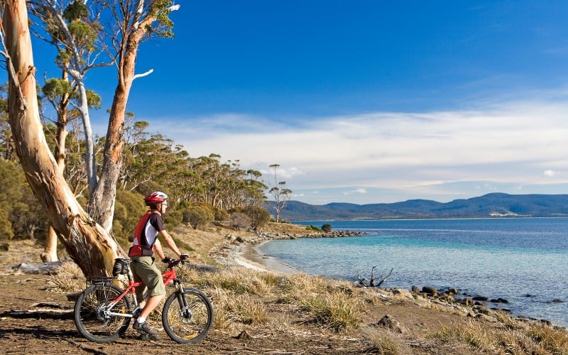 A cyclist on his mountain bike stops under a tree near the beach on a clear sunny day 