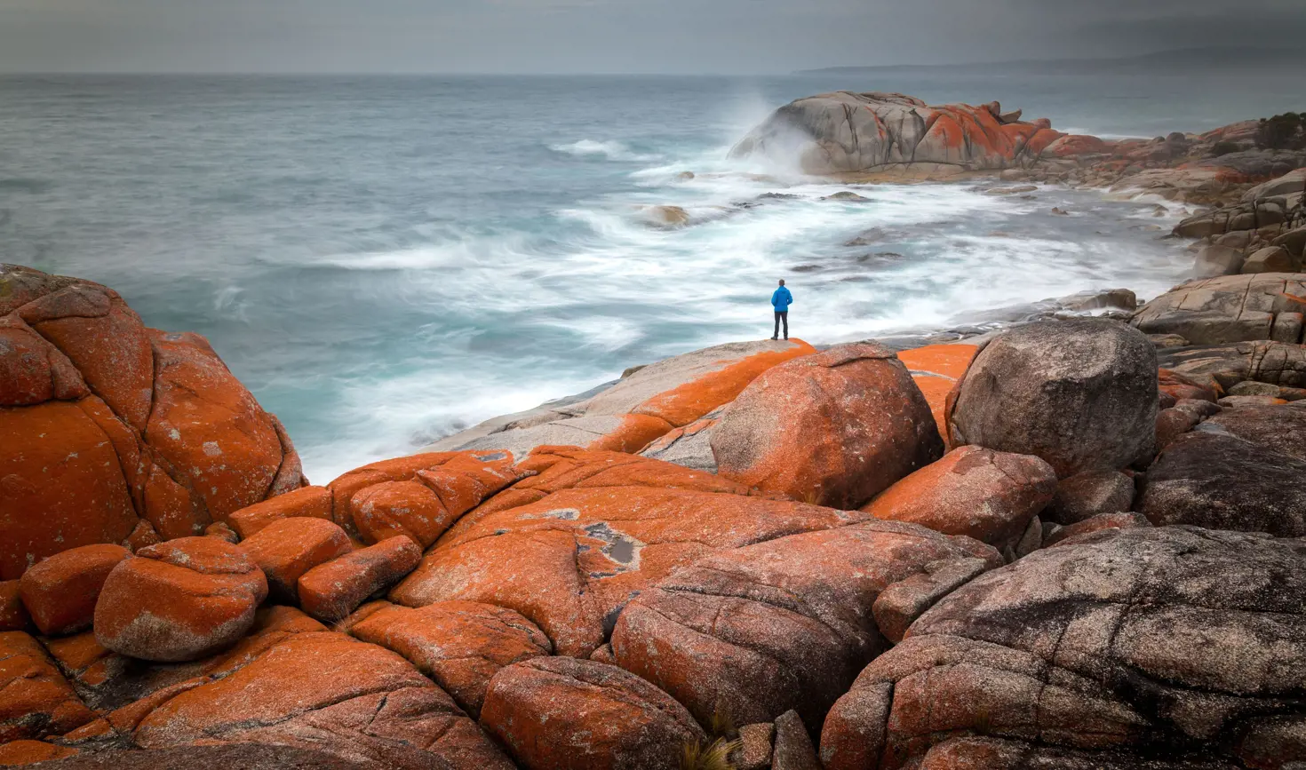 A person in a blue jacket stands on orange lichen-covered granite boulders as waves crash at larapuna / Bay of Fires