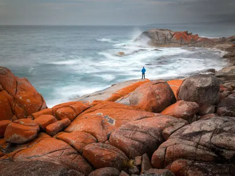A person in a blue jacket stands on orange lichen-covered granite boulders as waves crash at larapuna / Bay of Fires
