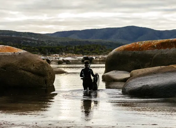 A snorkeller wading between granite boulders with snorkel and net on Flinders Island, Tasmania