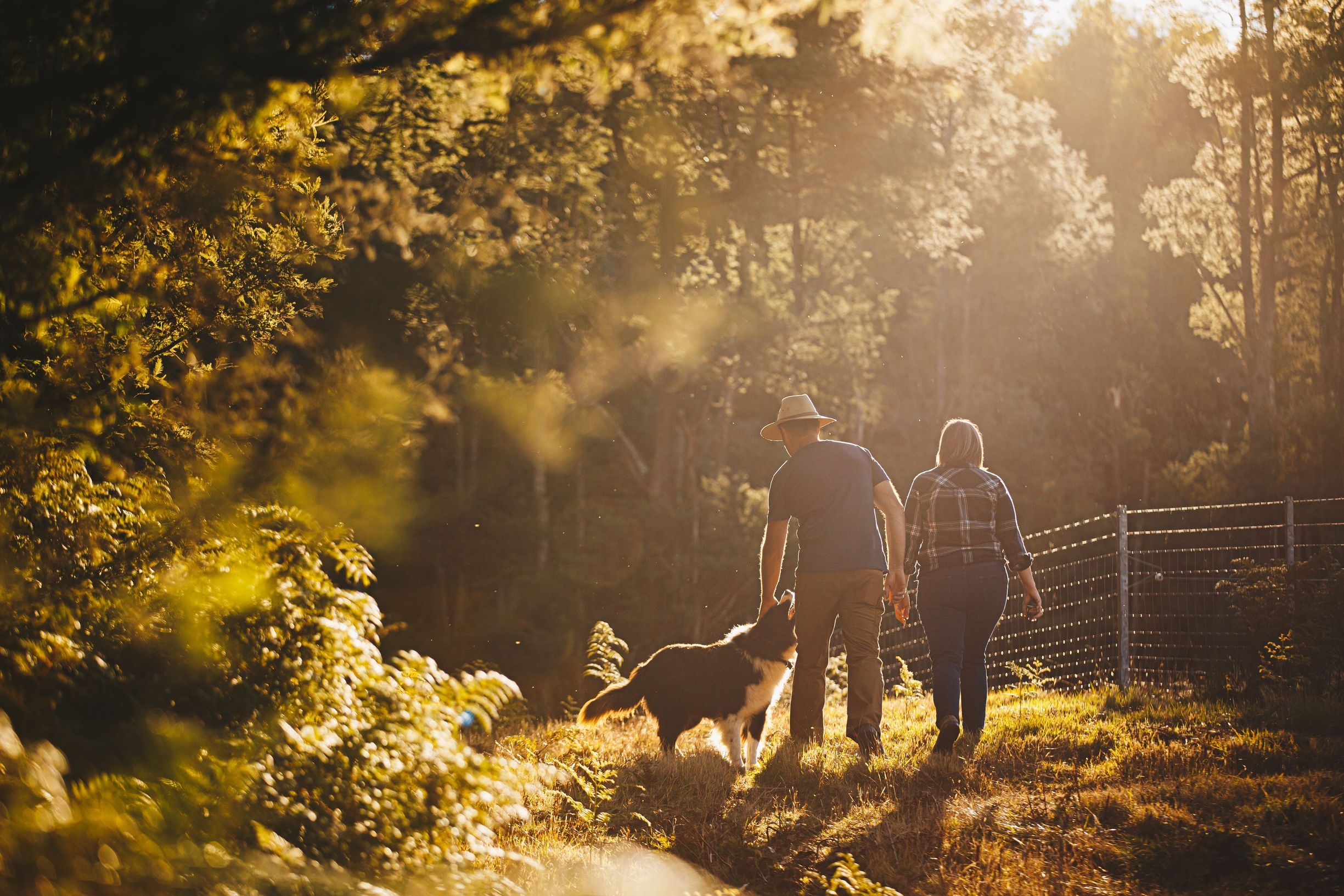 Two people walking a dog along a farm track at Summerlea Farm, North Lilydale