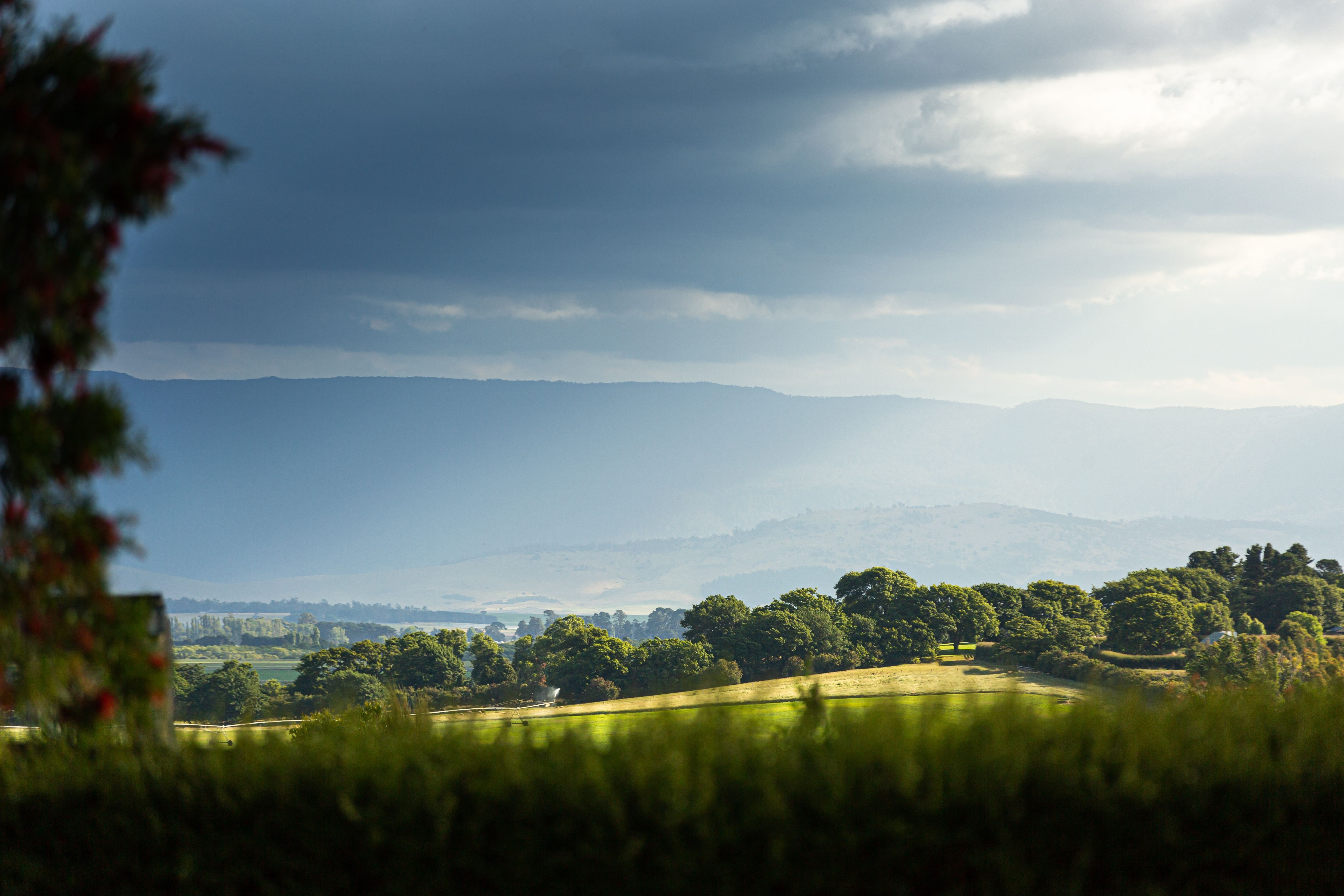 View from Cressy House across open green spaces and trees toward distant mountains, Longford, Tasmania