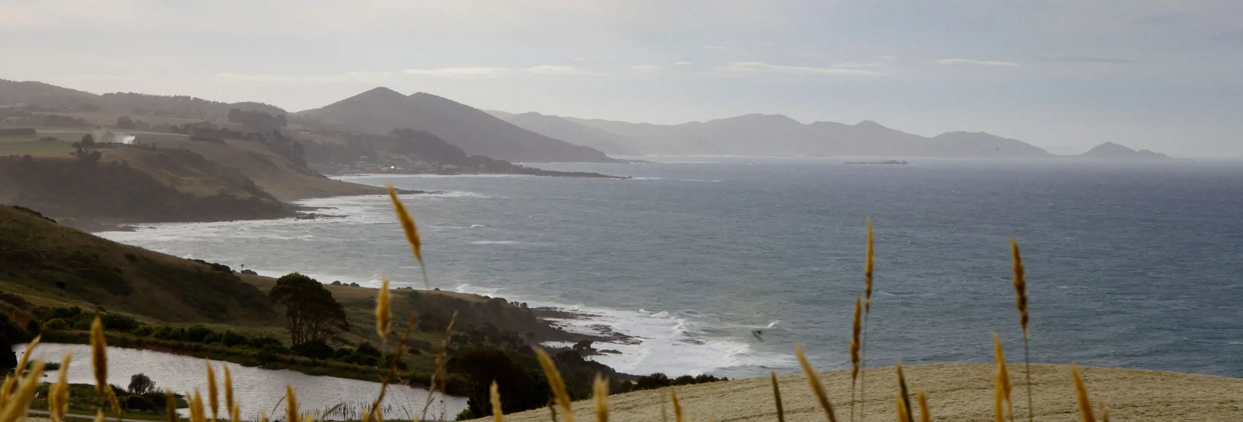 Coastal view through hillside grass toward distant headlands at Table Cape, Wynyard on Tasmania's North West Coast