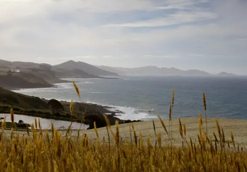 Coastal view through hillside grass toward distant headlands at Table Cape, Wynyard on Tasmania's North West Coast