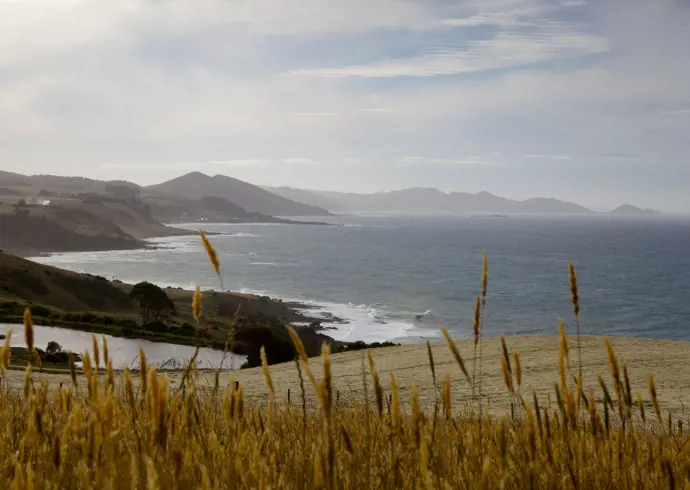 Coastal view through hillside grass toward distant headlands at Table Cape, Wynyard on Tasmania's North West Coast
