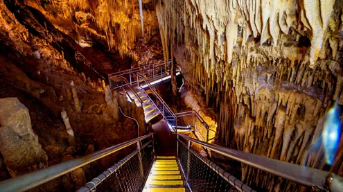 Stairway through stalactites at Newdegate Cave, Hastings Caves and Thermal Springs in Tasmania's Huon Valley