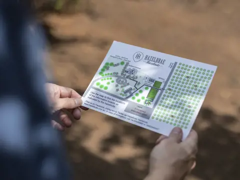 Hands holding a map showing the orchard layout at Hazelbrae Hazelnuts, Hagley, Tasmania