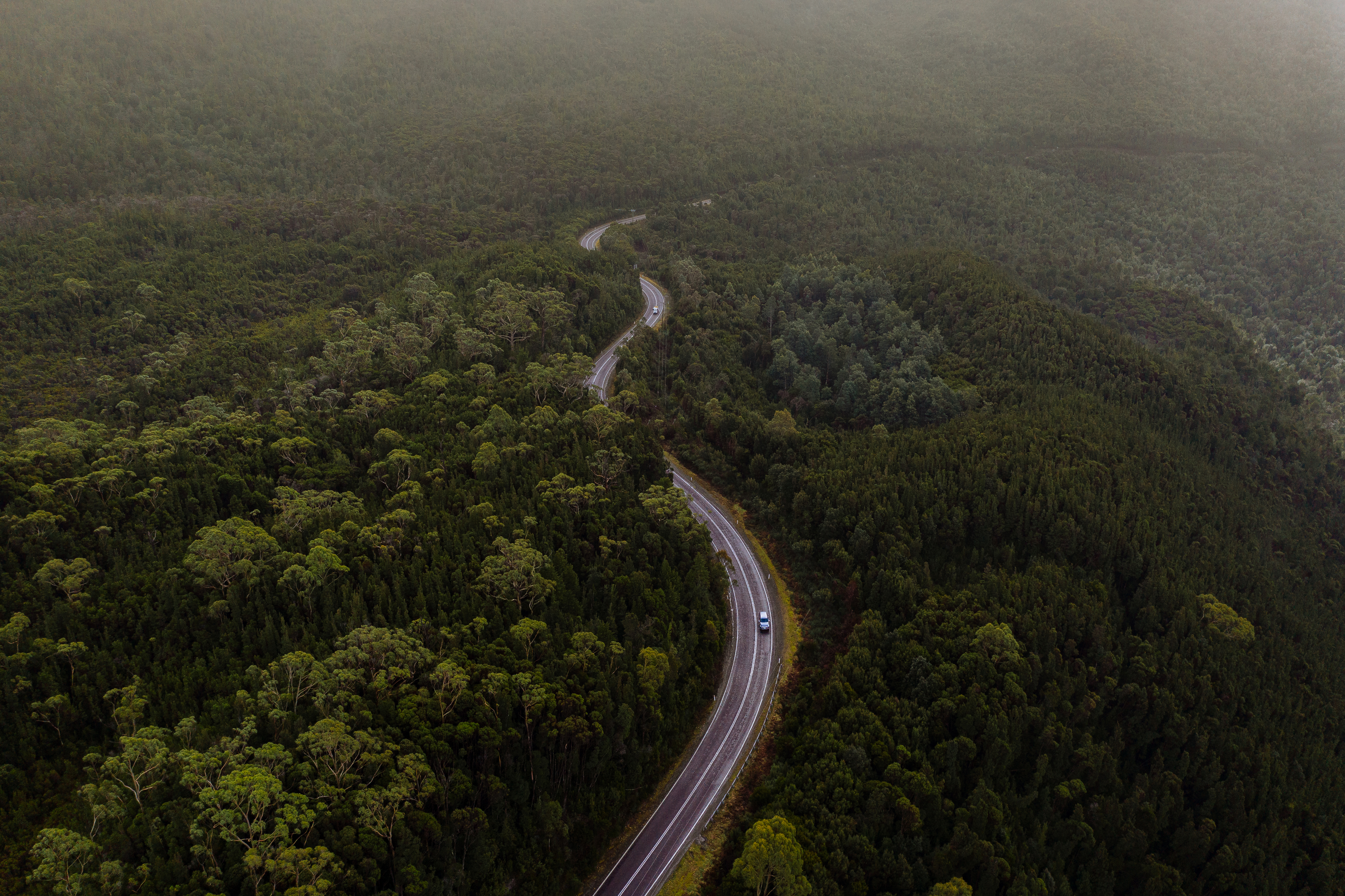 Aerial view of cars winding along Anthony Road surrounded by trees, West Coast Range, Tasmania