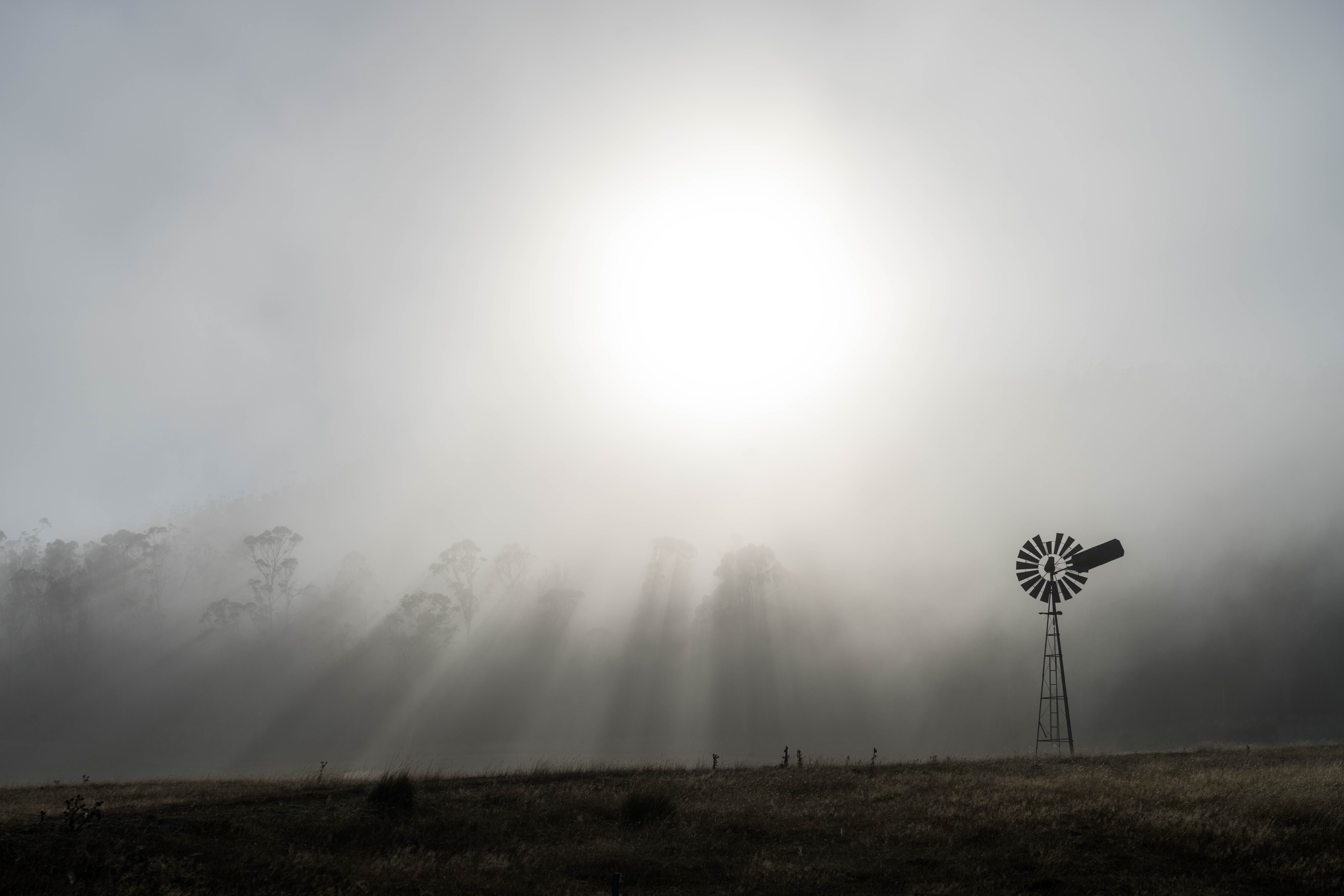 Sunbeams piercing through mist over farmland with a windmill, Oatlands, Tasmania