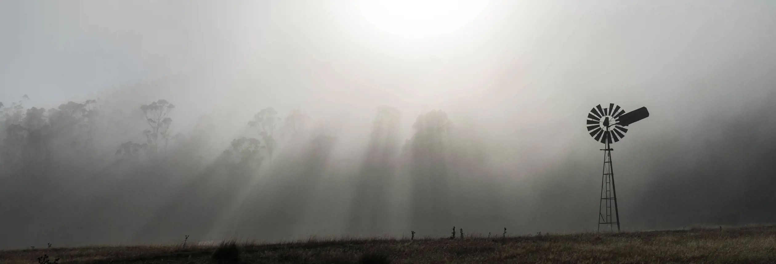 Sunbeams piercing through mist over farmland with a windmill, Oatlands, Tasmania