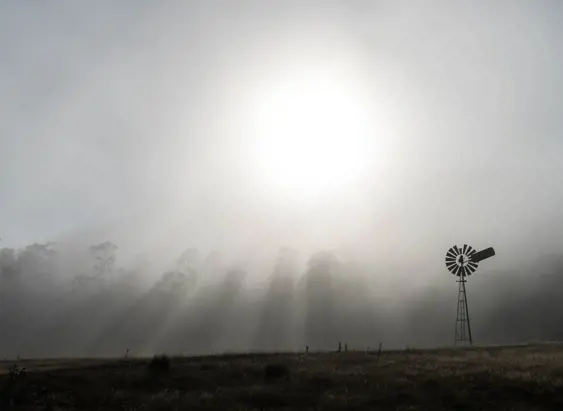 Sunbeams piercing through mist over farmland with a windmill, Oatlands, Tasmania