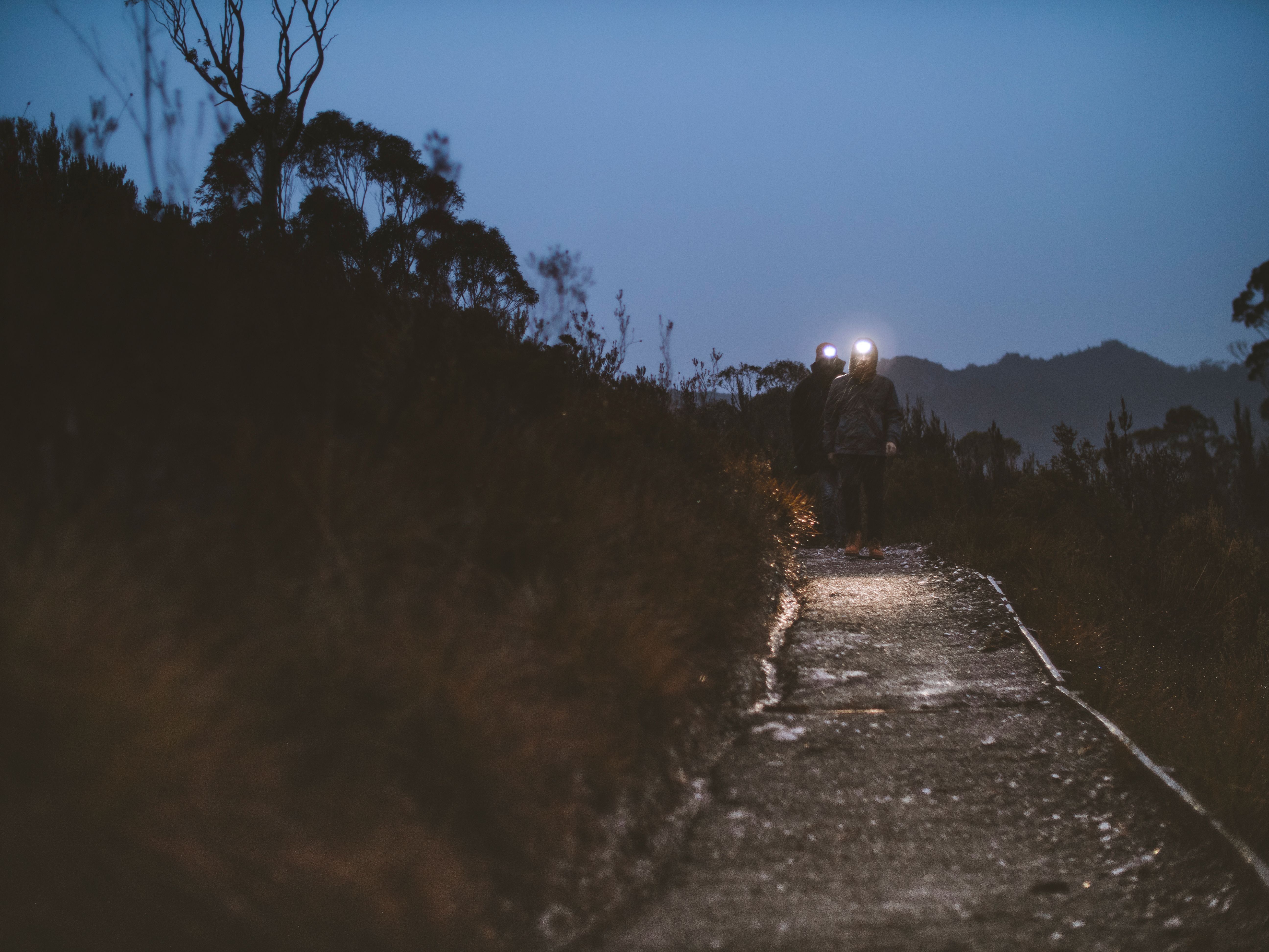 Two walkers with headlamps on the Donaghys Hill Track at low light, Franklin-Gordon Wild Rivers National Park, Tasmania
