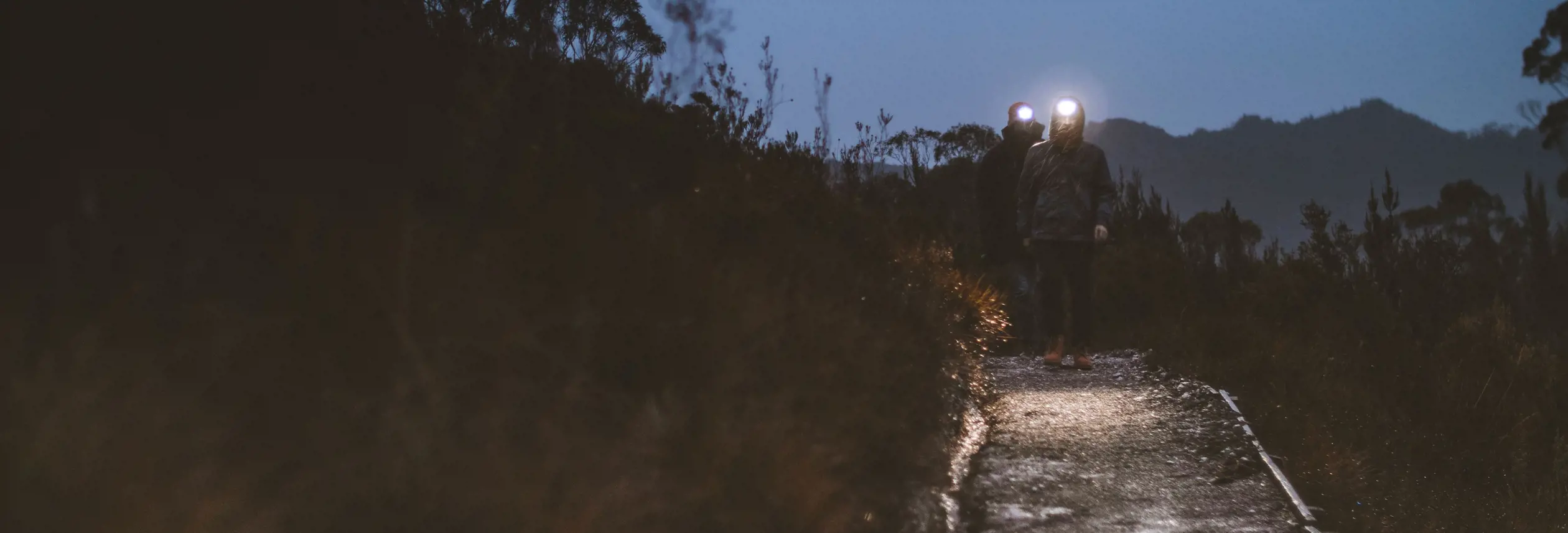 Two walkers with headlamps on the Donaghys Hill Track at low light, Franklin-Gordon Wild Rivers National Park, Tasmania