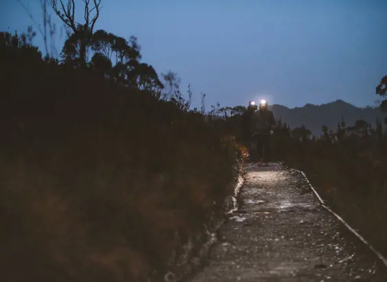 Two walkers with headlamps on the Donaghys Hill Track at low light, Franklin-Gordon Wild Rivers National Park, Tasmania