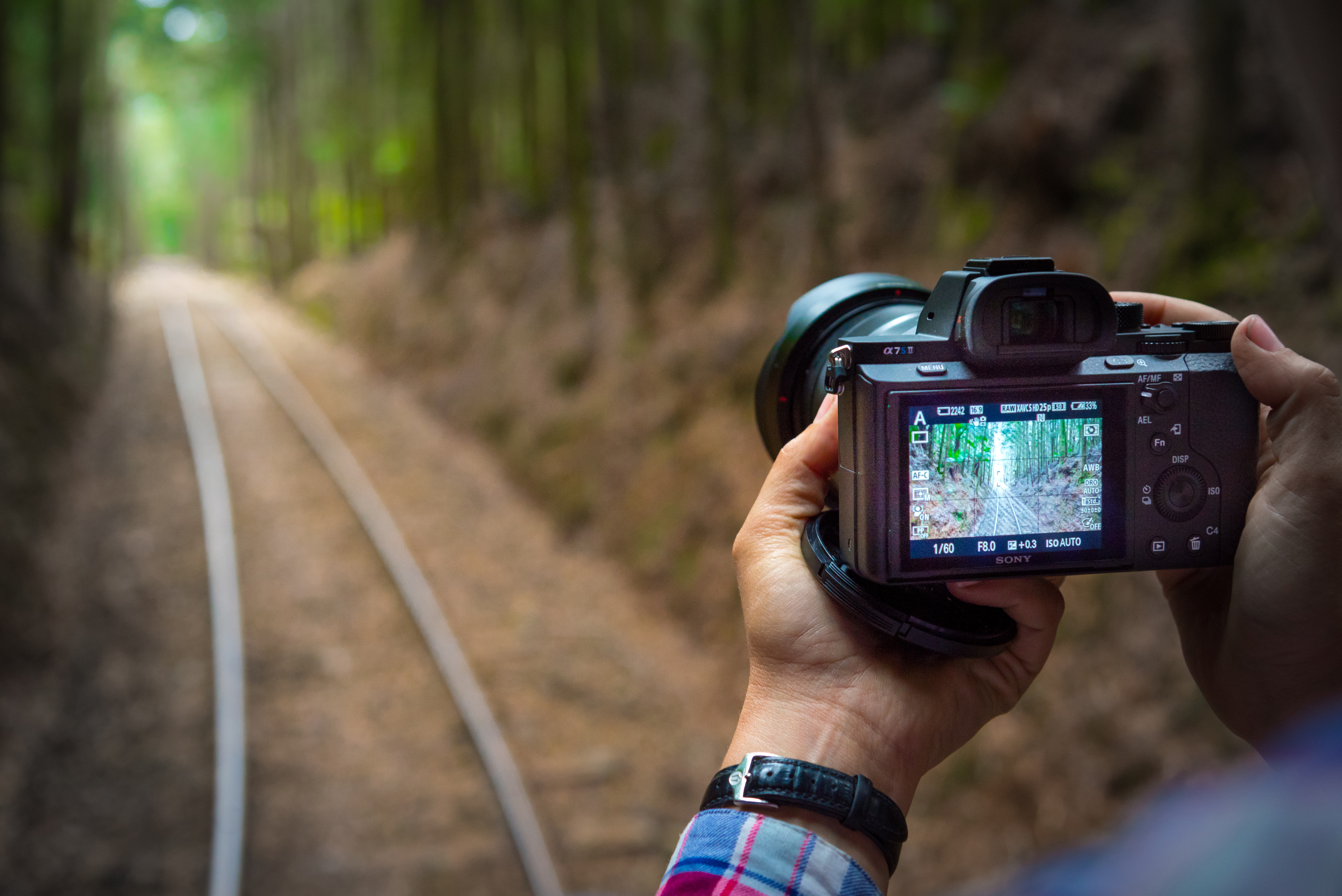 A photographer capturing the West Coast Wilderness Railway track between Queenstown and Strahan, Tasmania