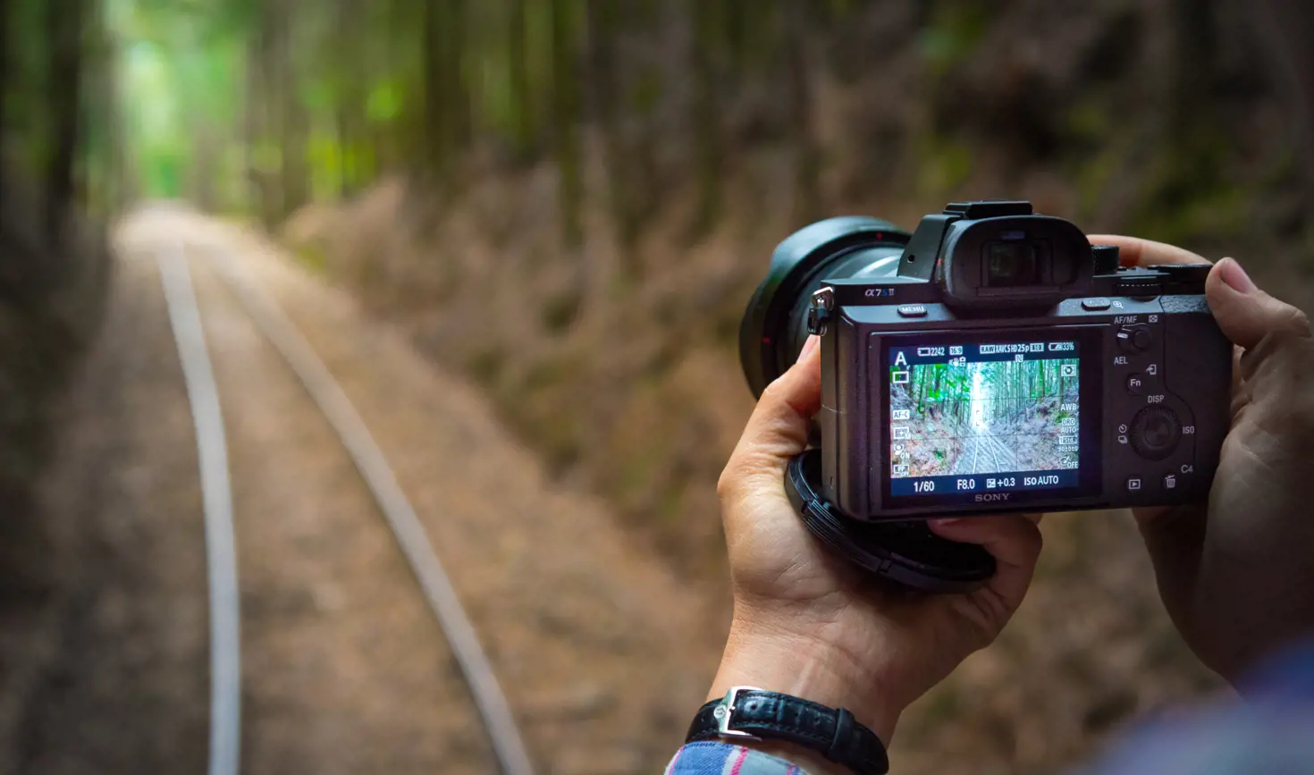 A photographer capturing the West Coast Wilderness Railway track between Queenstown and Strahan, Tasmania