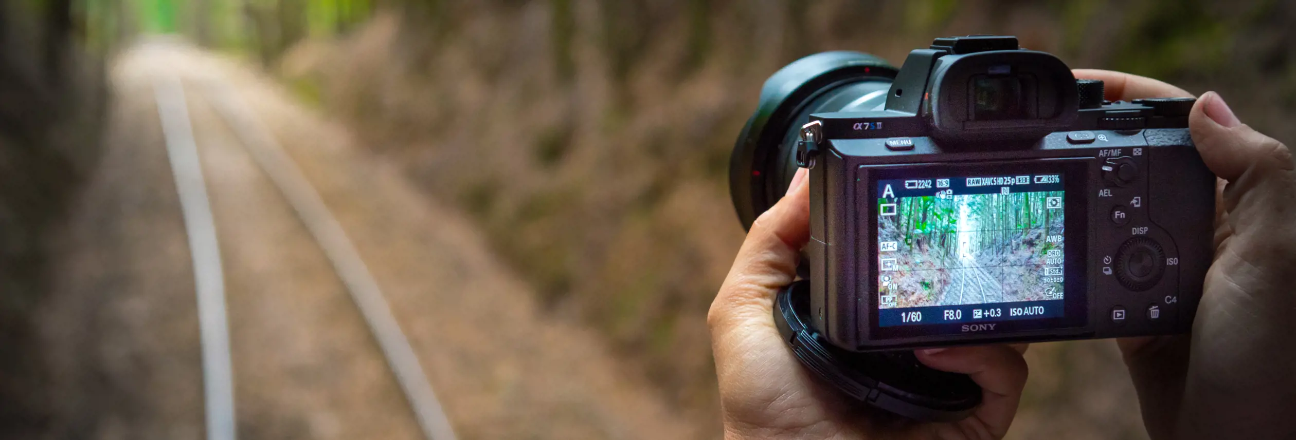 A photographer capturing the West Coast Wilderness Railway track between Queenstown and Strahan, Tasmania