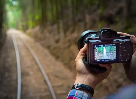 A photographer capturing the West Coast Wilderness Railway track between Queenstown and Strahan, Tasmania