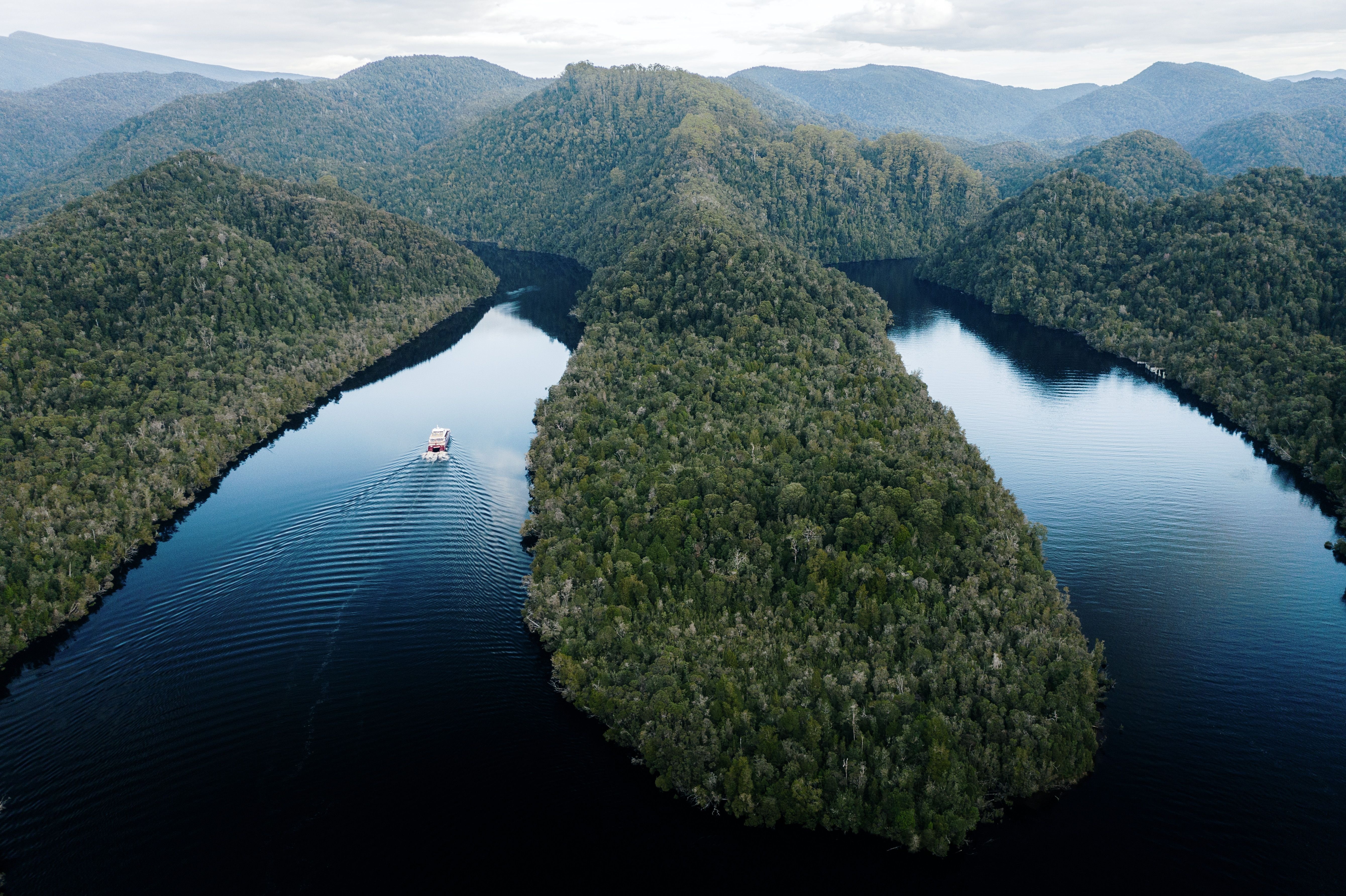 Aerial view of a World Heritage Cruises boat travelling down the Gordon River through forested wilderness, Strahan, Tasmania