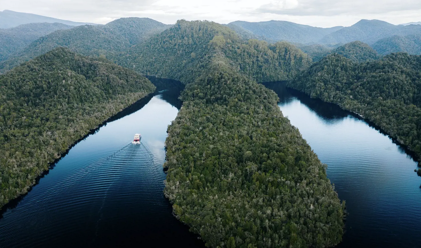 Aerial view of a World Heritage Cruises boat travelling down the Gordon River through forested wilderness, Strahan, Tasmania