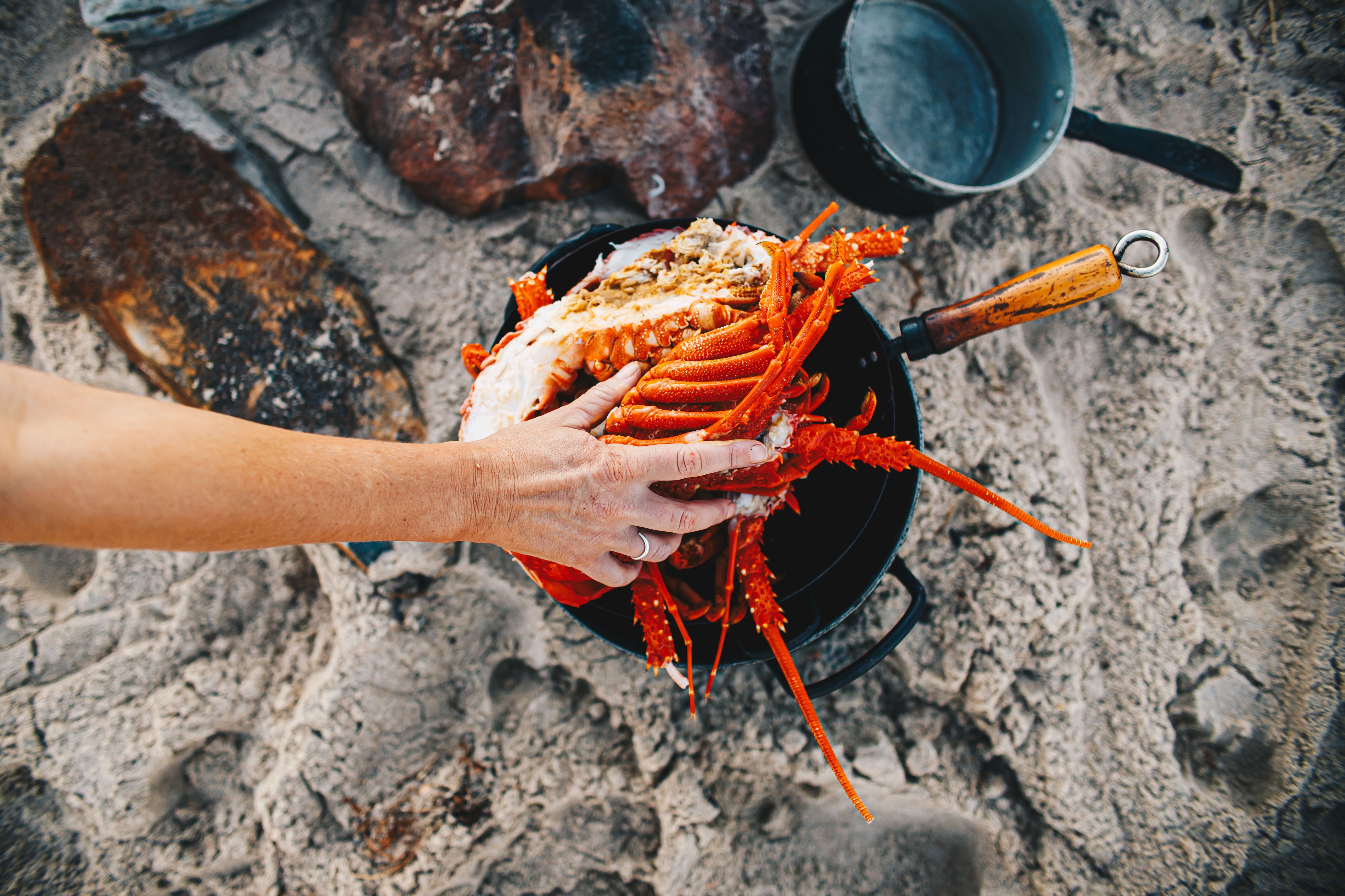 A hand reaching for cooked seafood on the beach during a Tasman Sea Salt experience, Little Swanport, Tasmania