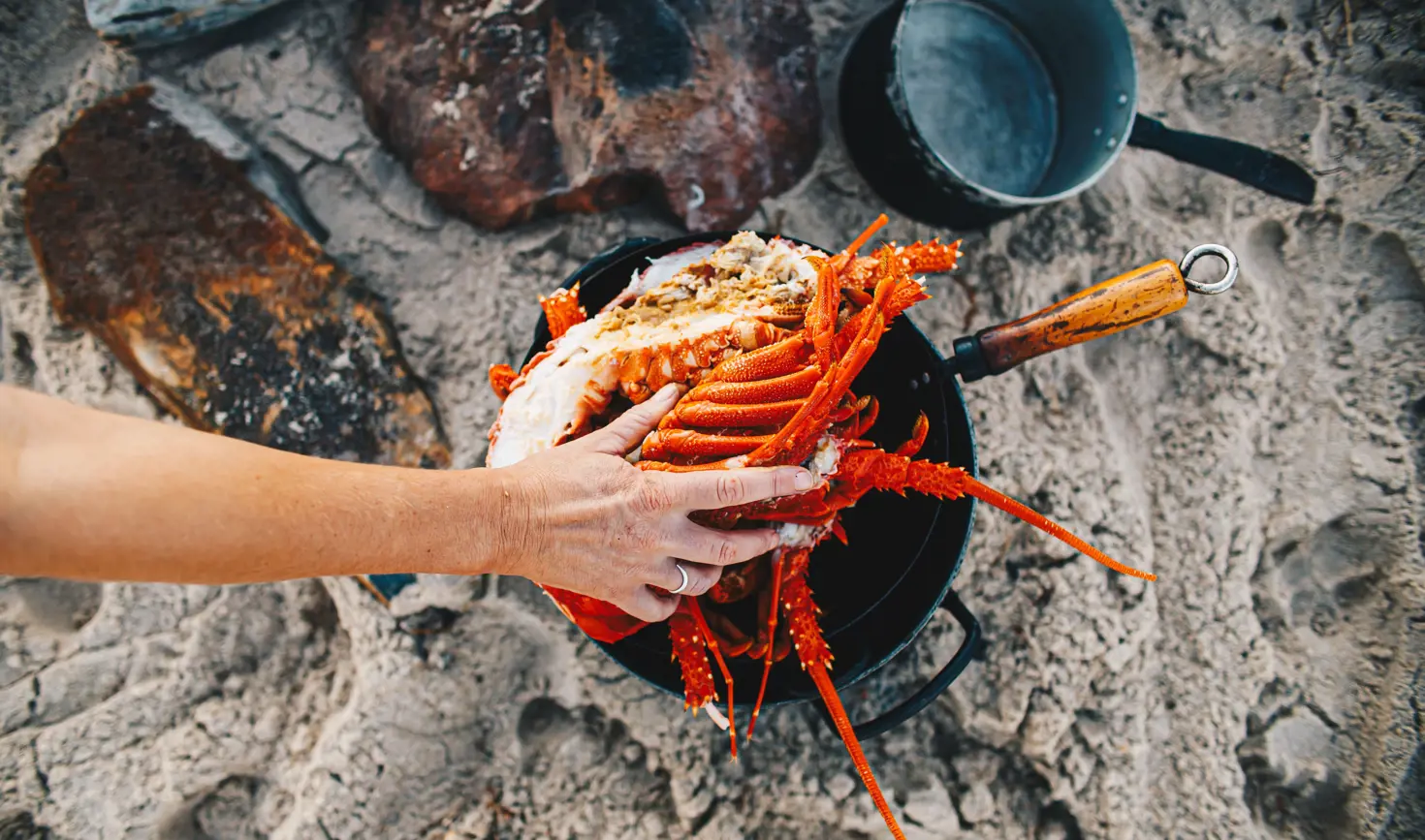 A hand reaching for cooked seafood on the beach during a Tasman Sea Salt experience, Little Swanport, Tasmania