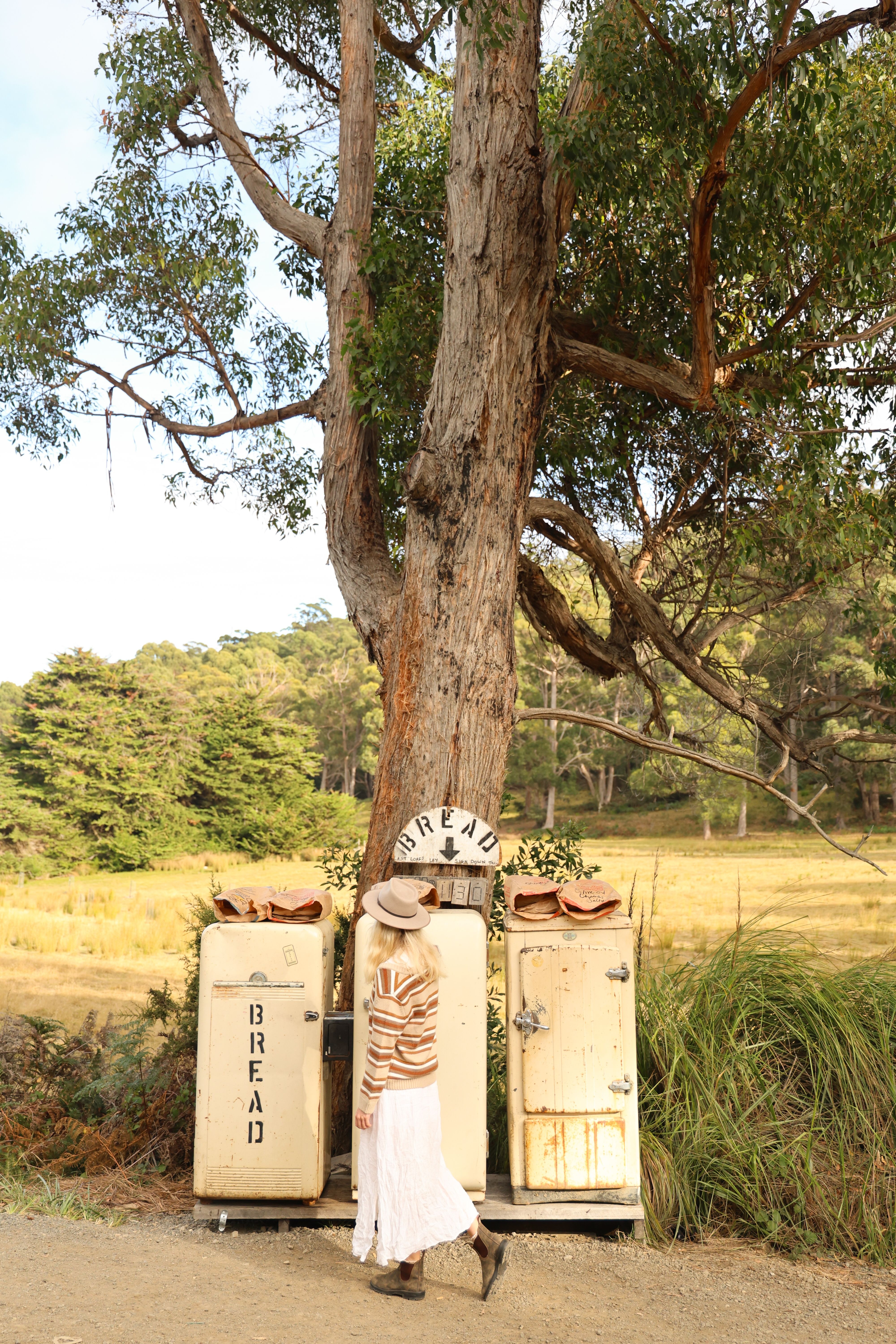 A customer browsing The Bruny Baker roadside sourdough stall with vintage fridges marked 'BREAD' under a tree, Bruny Island, Tasmania
