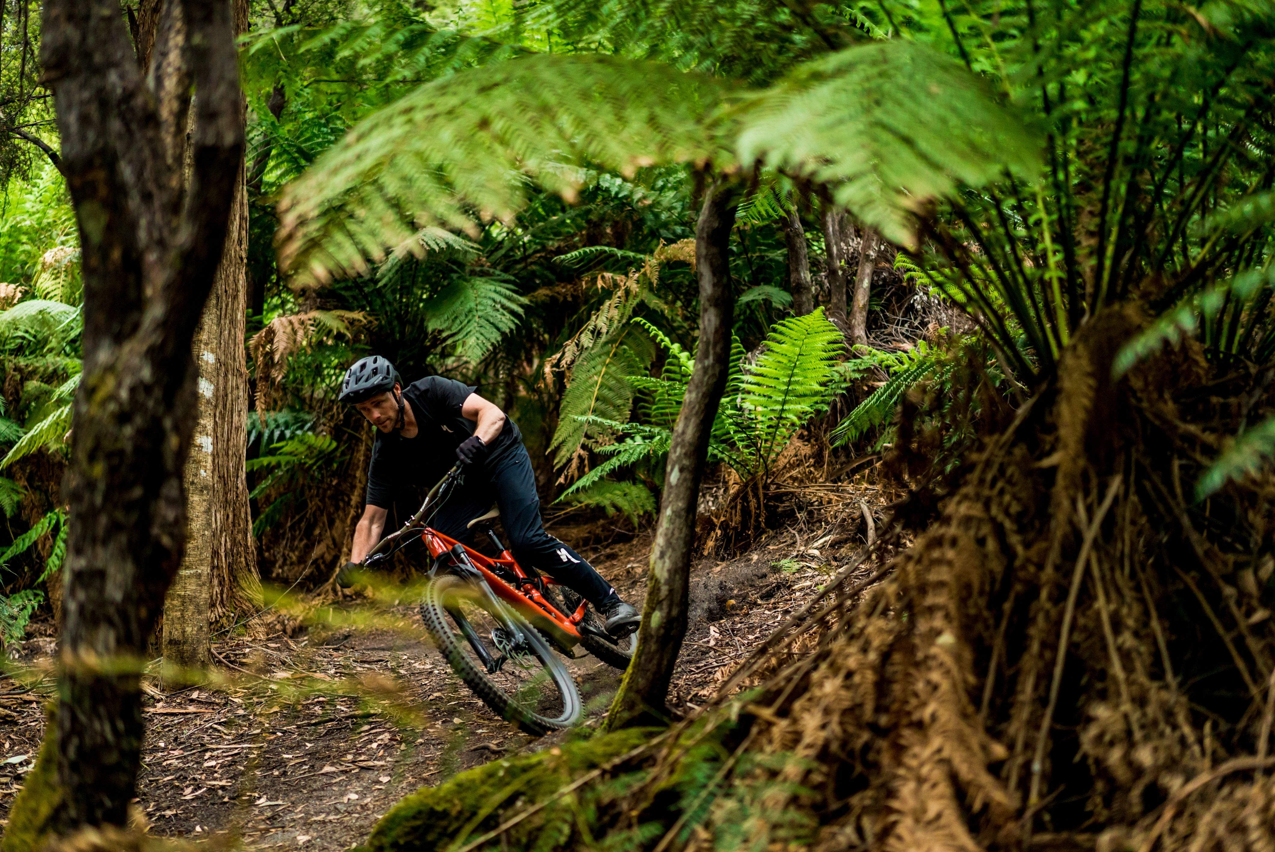 A mountain biker riding a trail through forest with tree ferns at Blue Derby Mountain Bike Trails, Derby, Tasmania