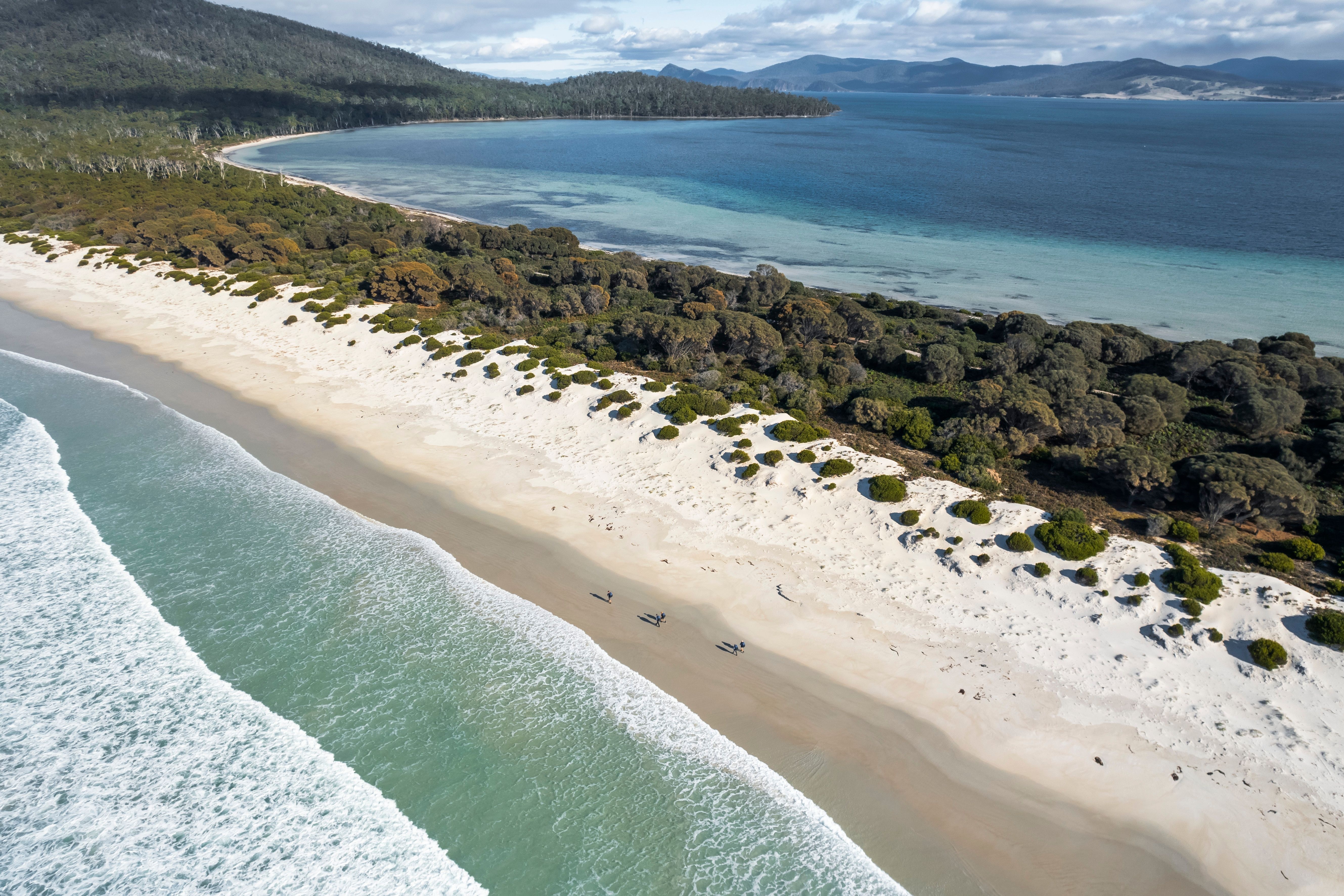Aerial view of walkers on a sandy beach on The Maria Island Walk, Maria Island National Park, Tasmania
