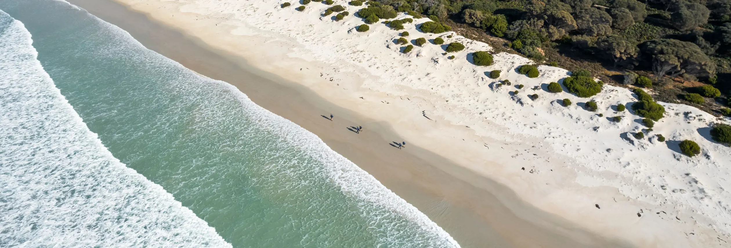 Aerial view of walkers on a sandy beach on The Maria Island Walk, Maria Island National Park, Tasmania