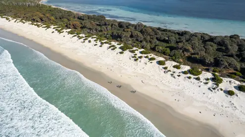 Aerial view of walkers on a sandy beach on The Maria Island Walk, Maria Island National Park, Tasmania