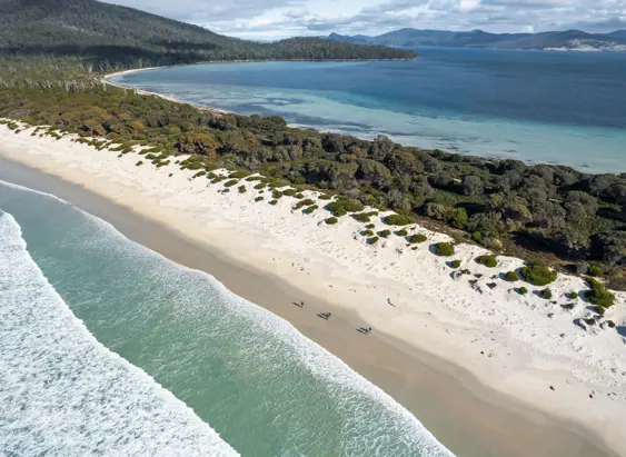 Aerial view of walkers on a sandy beach on The Maria Island Walk, Maria Island National Park, Tasmania