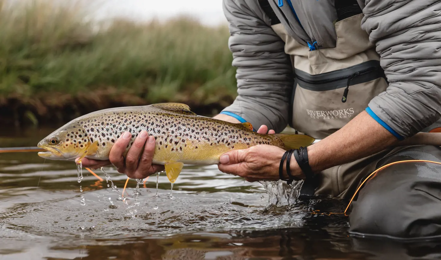 A fly fisher holding a brown trout above the water at Little Pine Lagoon, Central Highlands, Tasmania
