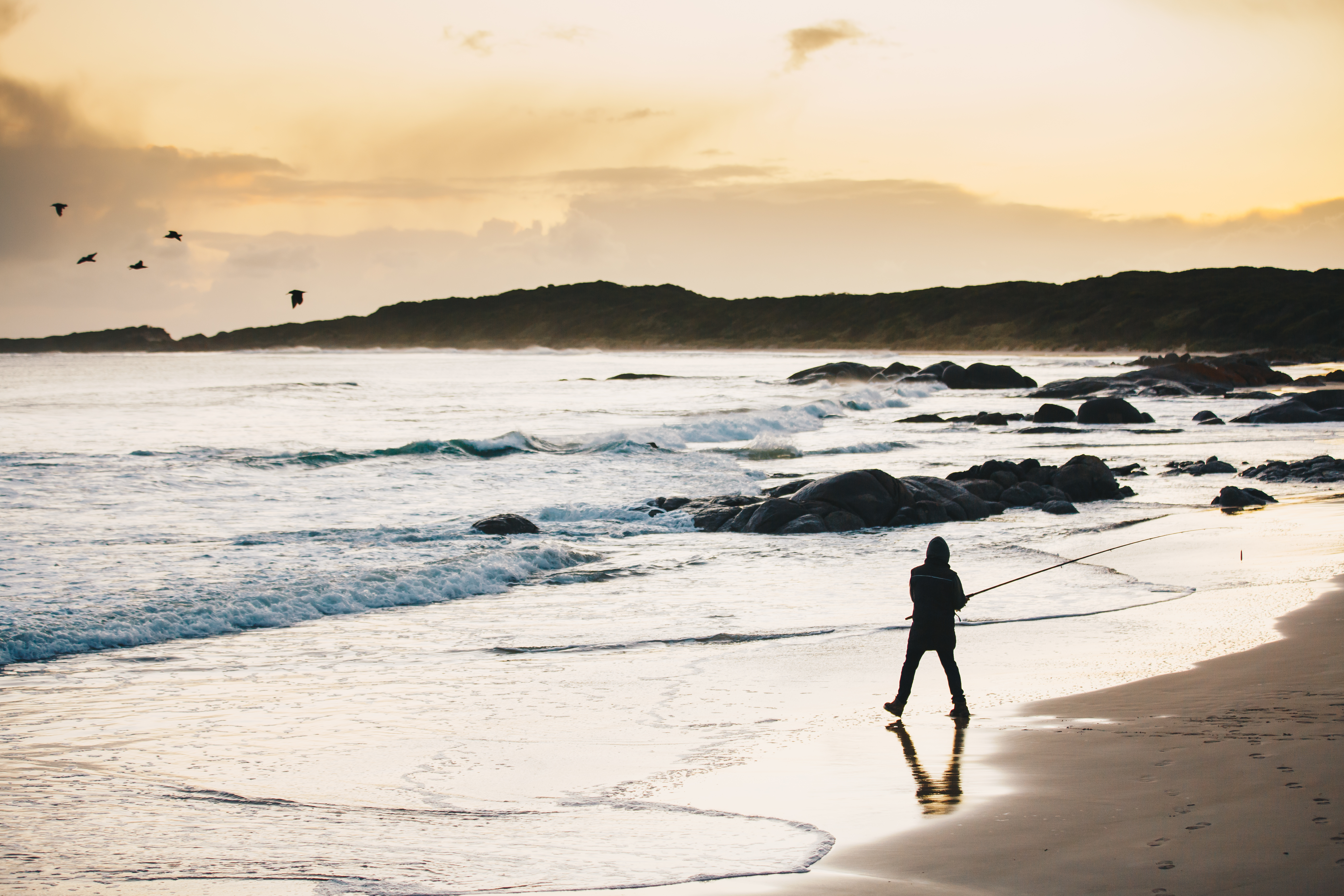 A silhouette of a person fishing on the beach in golden light, Disappointment Bay, King Island, Tasmania