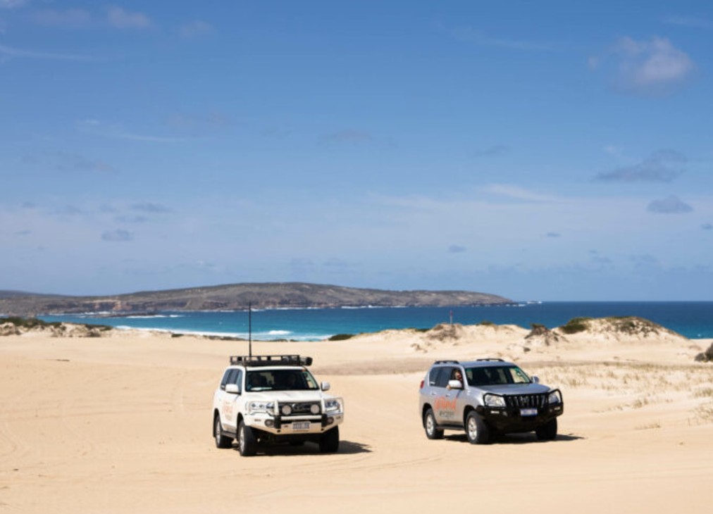 Two Untamed Escapes 4WD tour vehicles parked on a sandy beach with dunes and ocean views