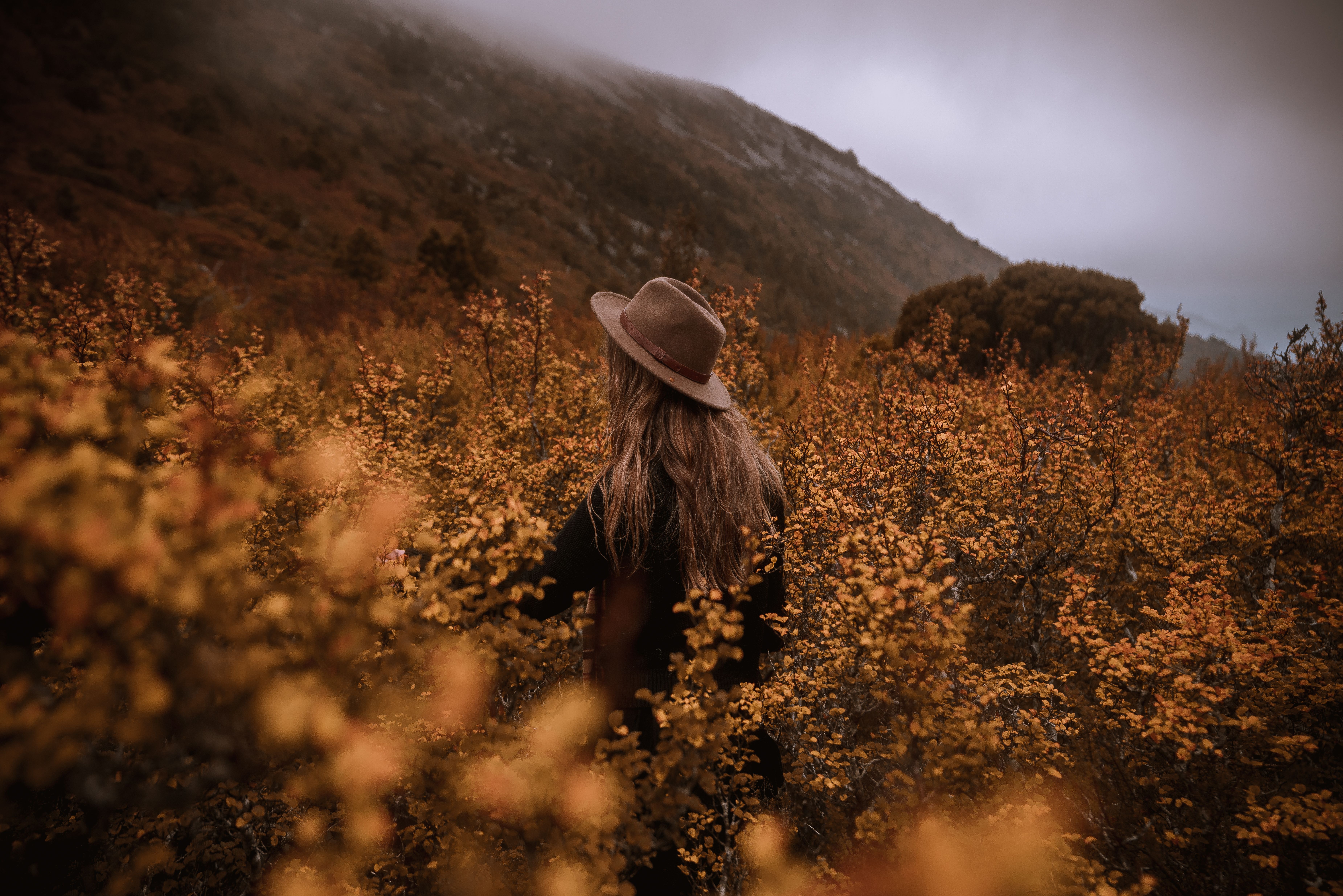 A walker in a hat surrounded by Fagus, Cradle Mountain-Lake St Clair National Park, Tasmania
