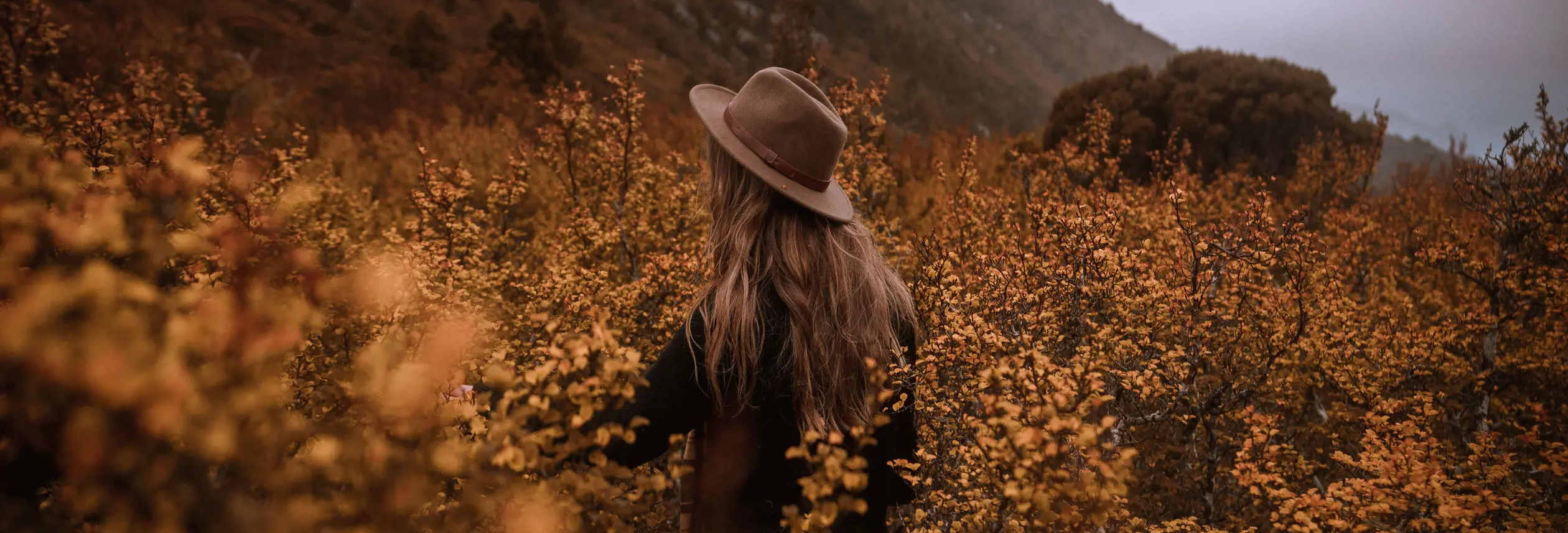 A walker in a hat surrounded by Fagus, Cradle Mountain-Lake St Clair National Park, Tasmania