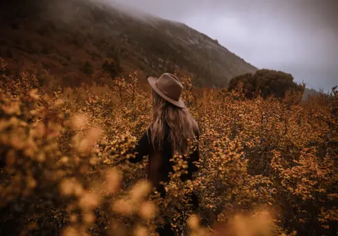 A walker in a hat surrounded by Fagus, Cradle Mountain-Lake St Clair National Park, Tasmania