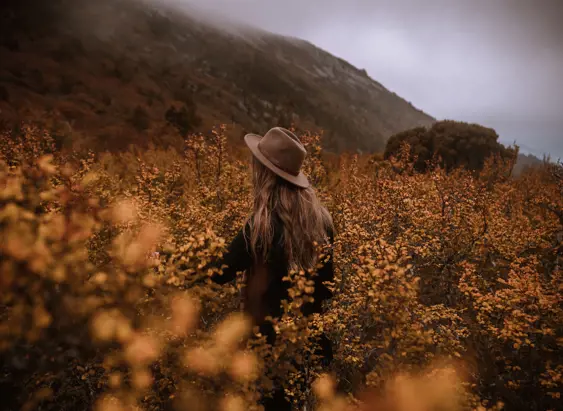 A walker in a hat surrounded by Fagus, Cradle Mountain-Lake St Clair National Park, Tasmania