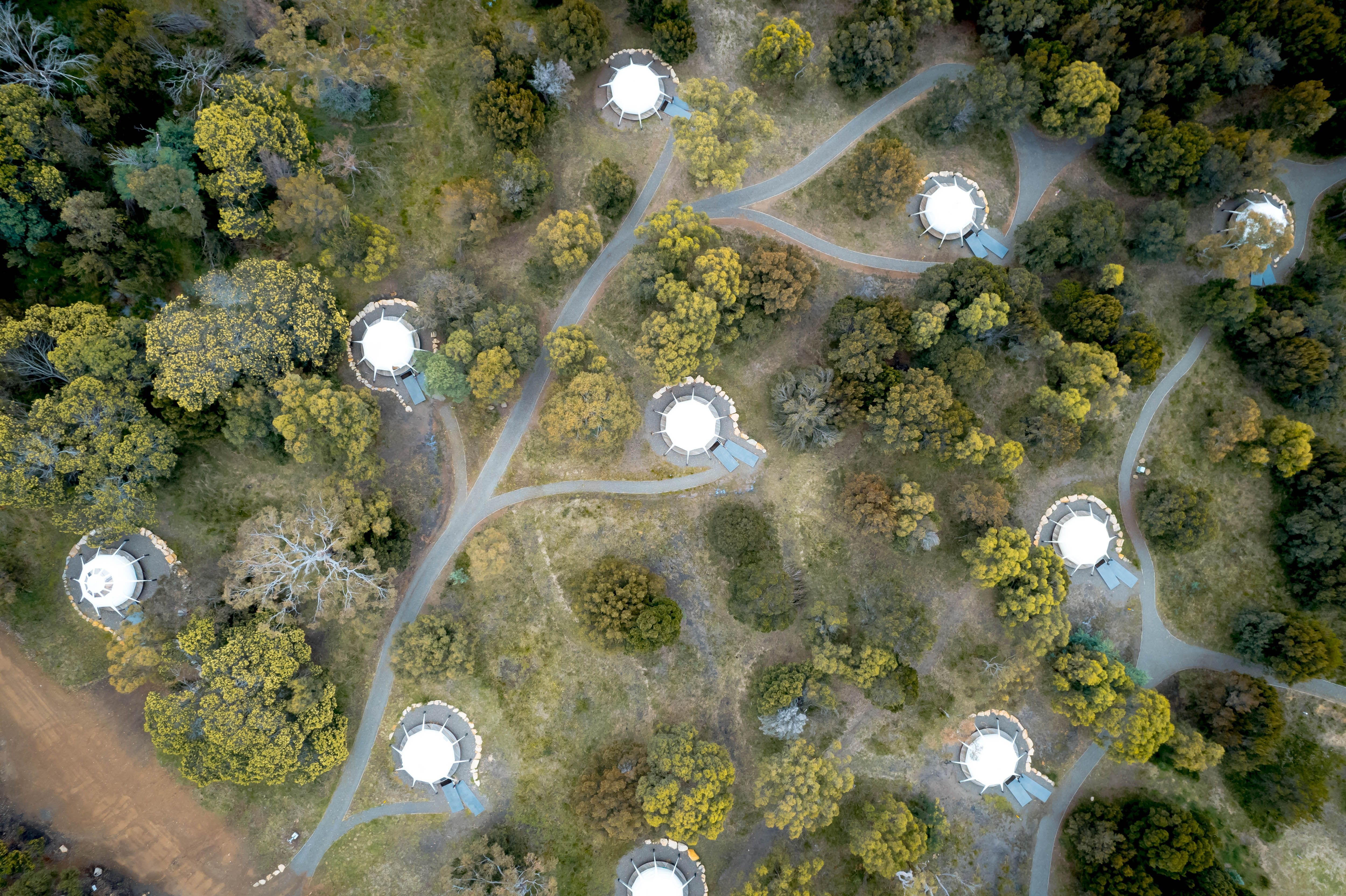 Aerial view of glamping tents nestled among bushland at Spring Bay Mill, Triabunna