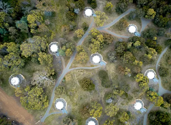 Aerial view of glamping tents nestled among bushland at Spring Bay Mill, Triabunna