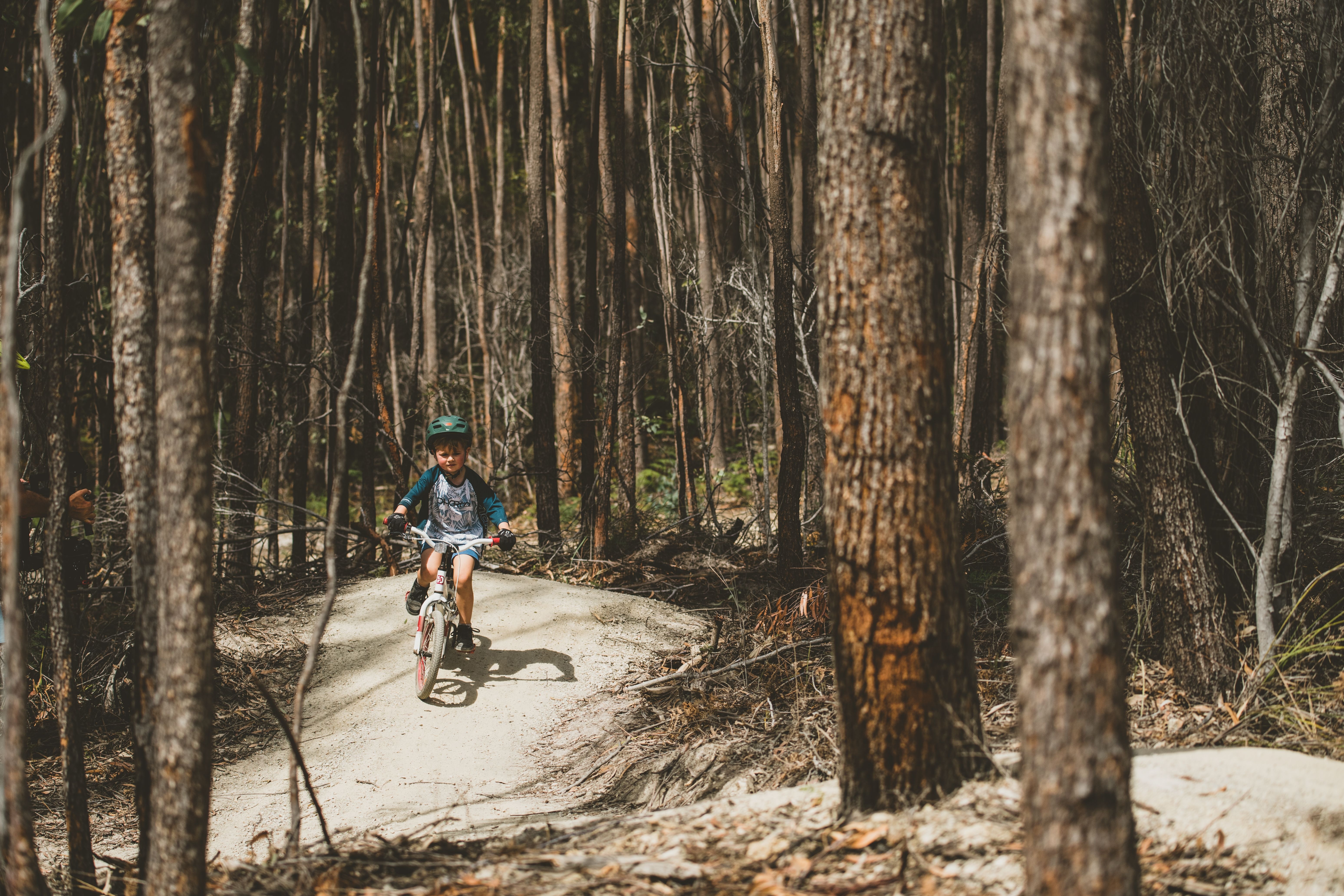 A child riding a mountain bike along a forest trail, dwarfed by the towering trees on either side of the narrow path.