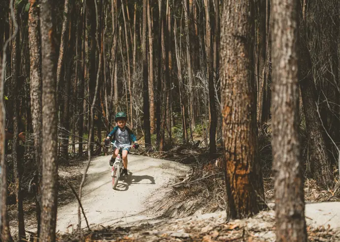 A child riding a mountain bike along a forest trail, dwarfed by the towering trees on either side of the narrow path.