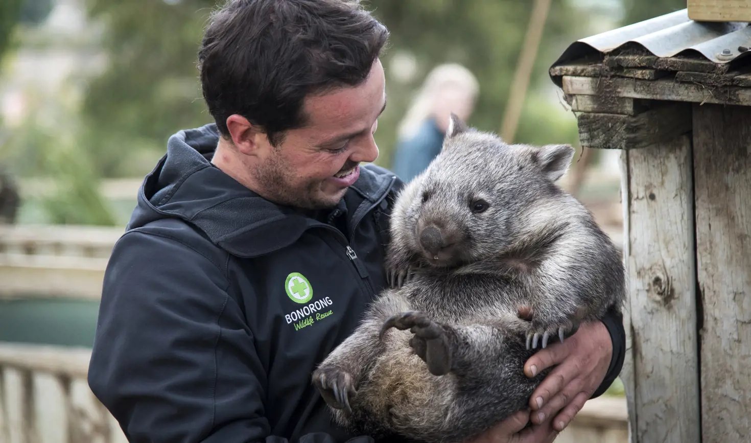 Bonorong Wildlife Sanctuary keeper Greg Irons holds a wombat at the Sanctuary, Brighton