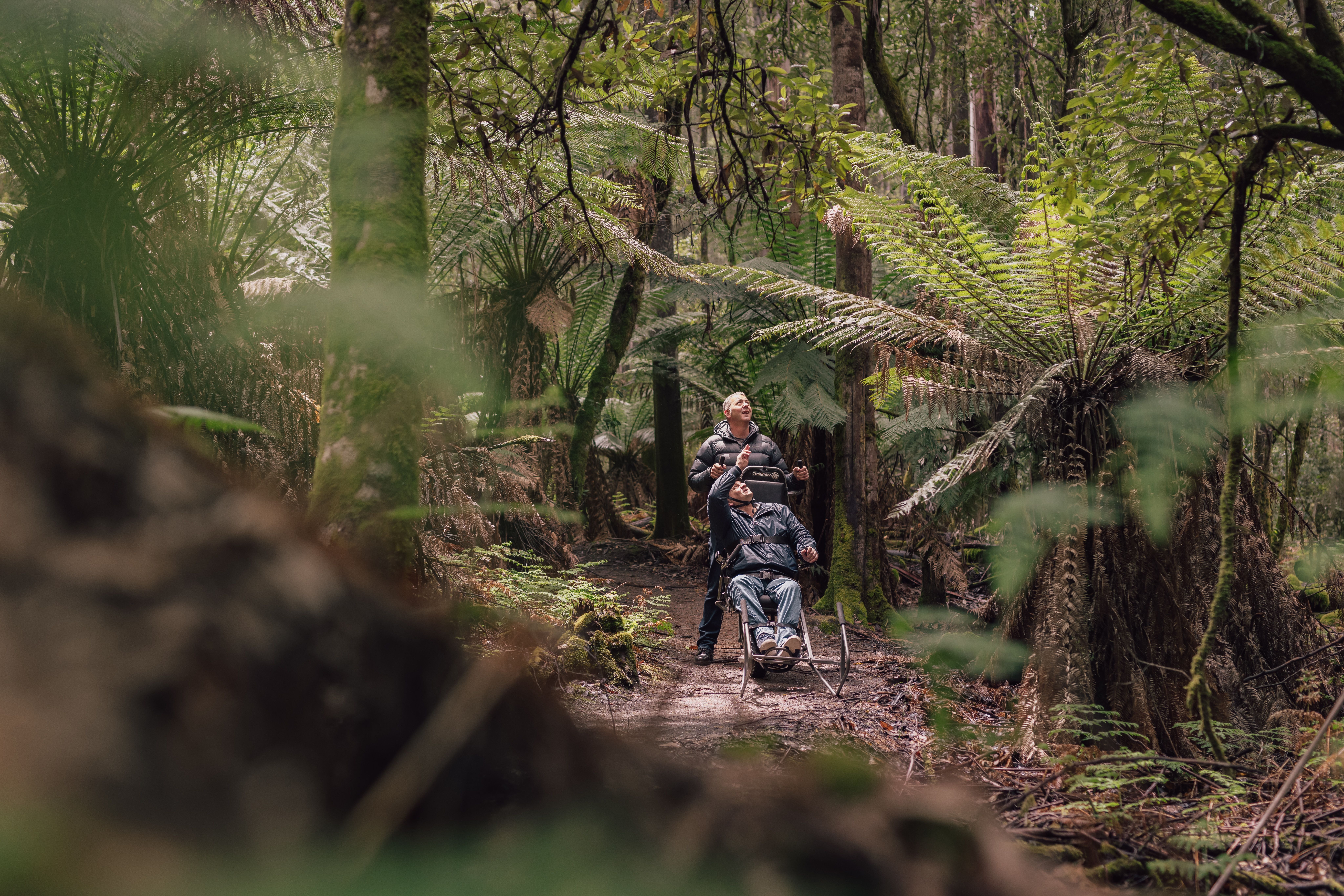 A visitor using a TrailRider all-terrain wheelchair with a companion on the Tall Trees Walk, Mount Field National Park