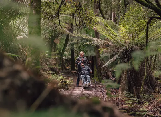 A visitor using a TrailRider all-terrain wheelchair with a companion on the Tall Trees Walk, Mount Field National Park