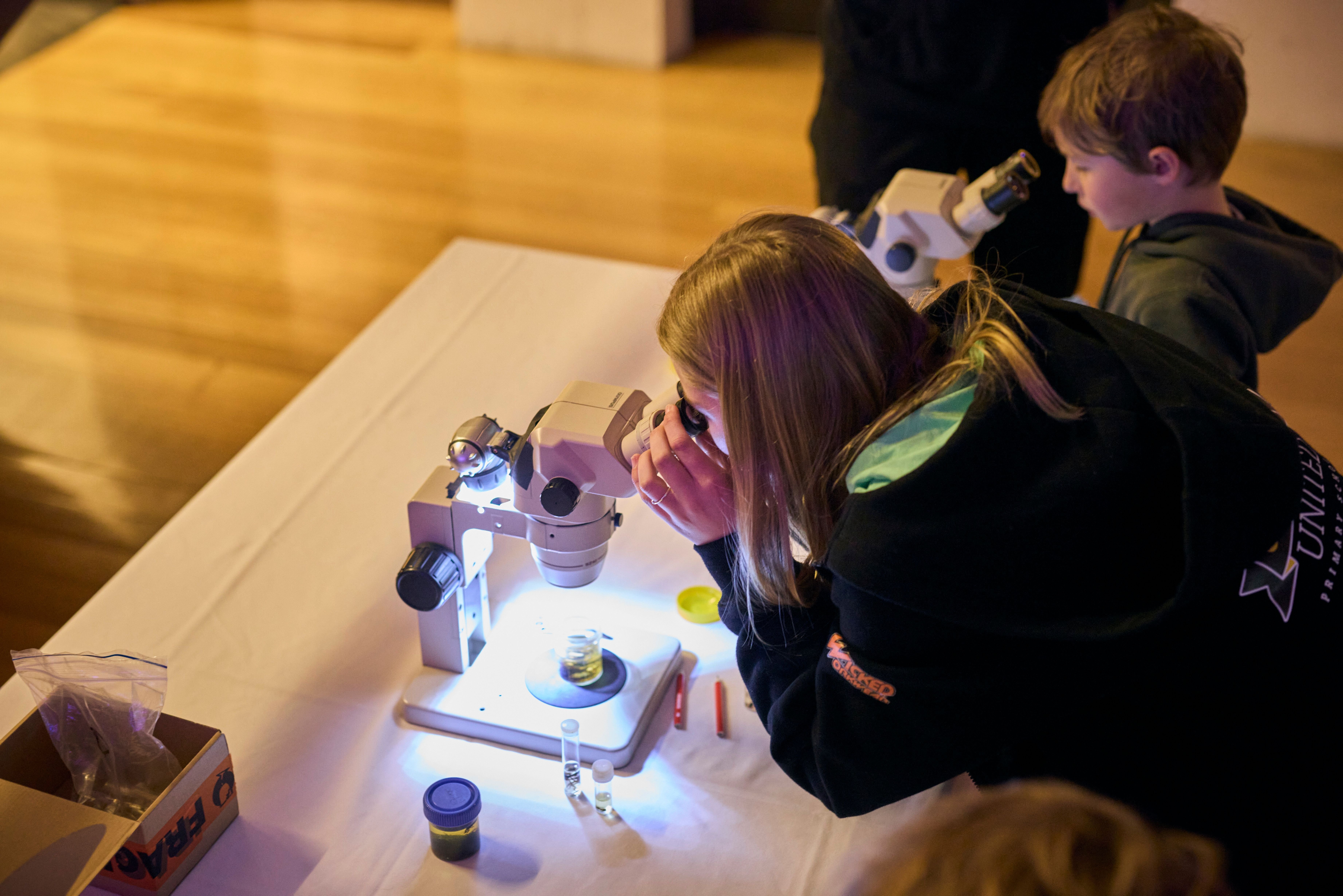 Young visitors examining specimens through microscopes at Beaker Street Festival, Tasmanian Museum and Art Gallery, Hobart