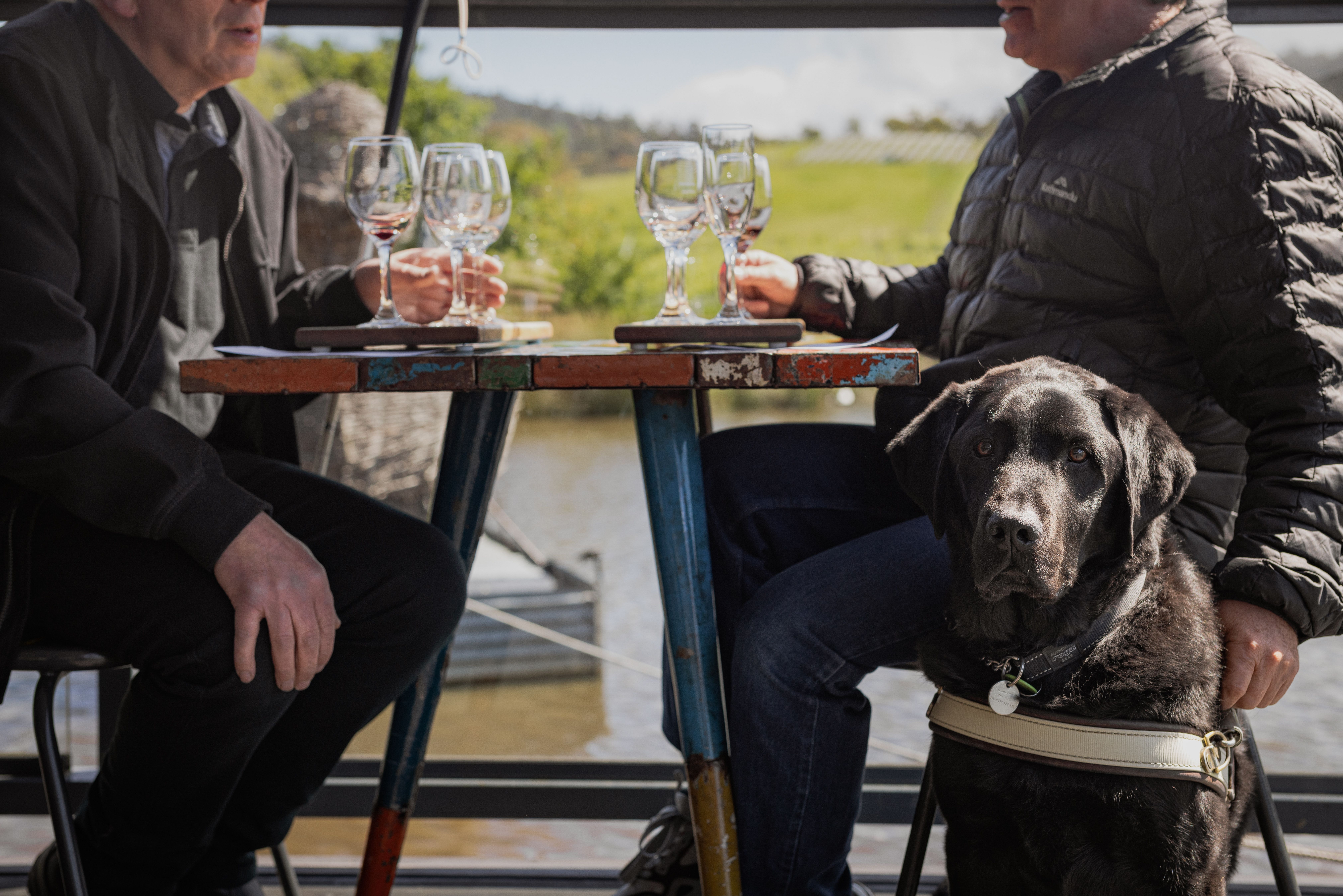 Two people enjoy a wine tasting flight at an outdoor table at Puddleduck Vineyard in Richmond accompanied by a guide dog