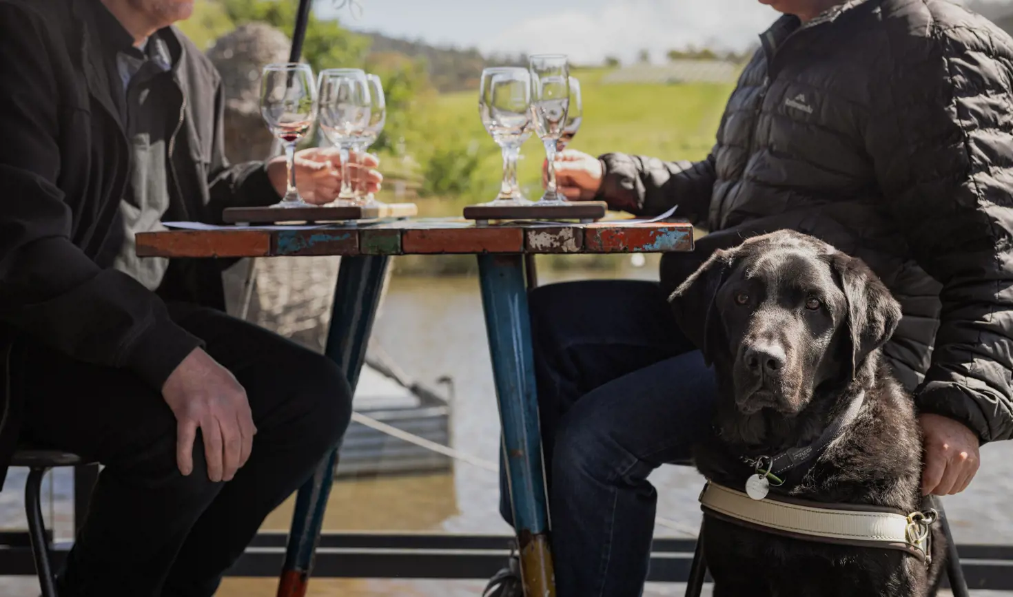 Two people enjoy a wine tasting flight at an outdoor table at Puddleduck Vineyard in Richmond accompanied by a guide dog