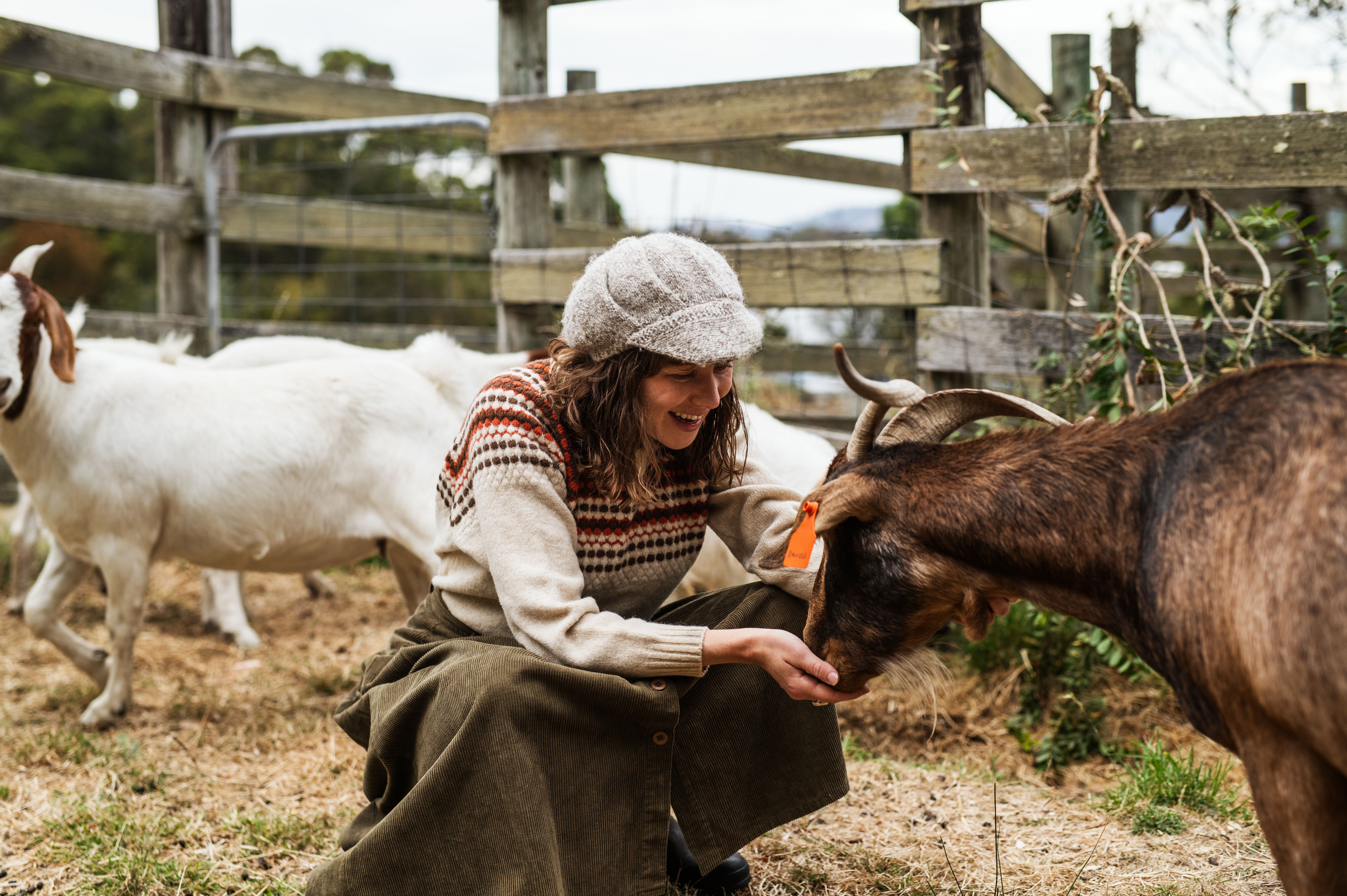 A smiling woman in a knitted hat crouches to feed a brown goat from her hand at Lavender Goat Farm in Petcheys Bay